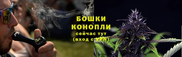 сатива Абаза