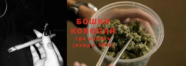 сатива Абаза