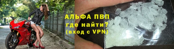 сатива Абаза