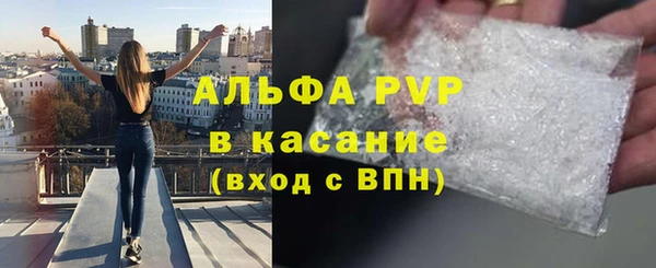 сатива Абаза