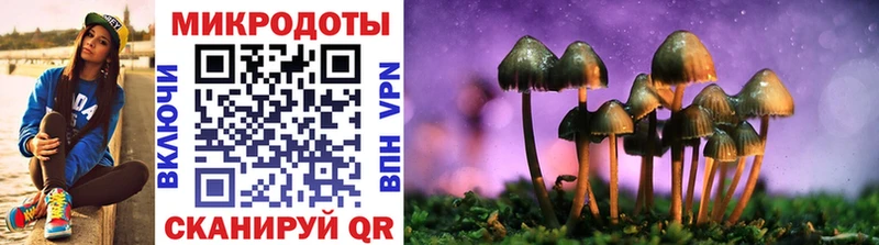 Псилоцибиновые грибы Psilocybe  Фёдоровский 